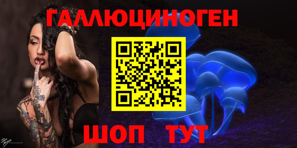 Псилоцибиновые грибы мицелий Дагестанские Огни
