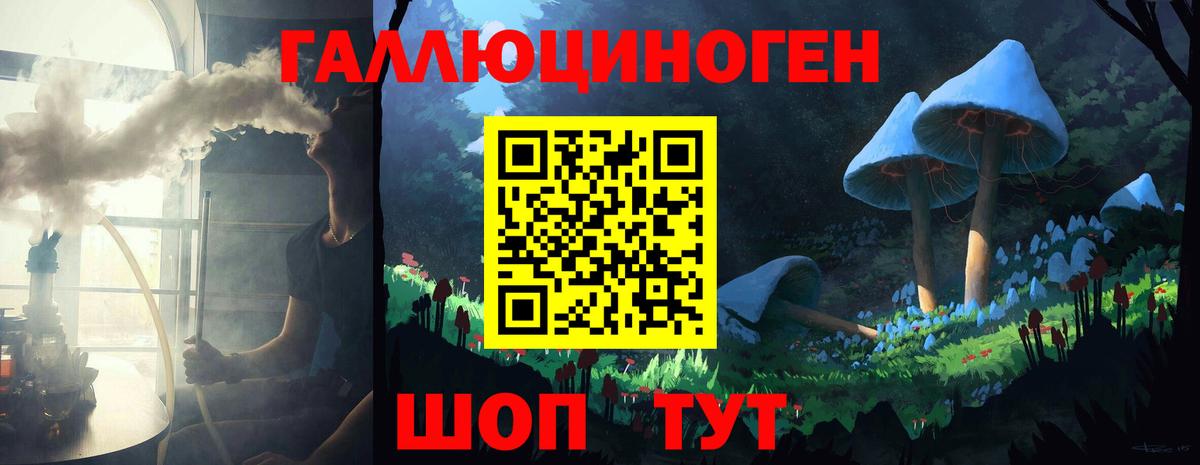 Галлюциногенные грибы Psilocybine cubensis  Вход с VPN  Дагестанские Огни 